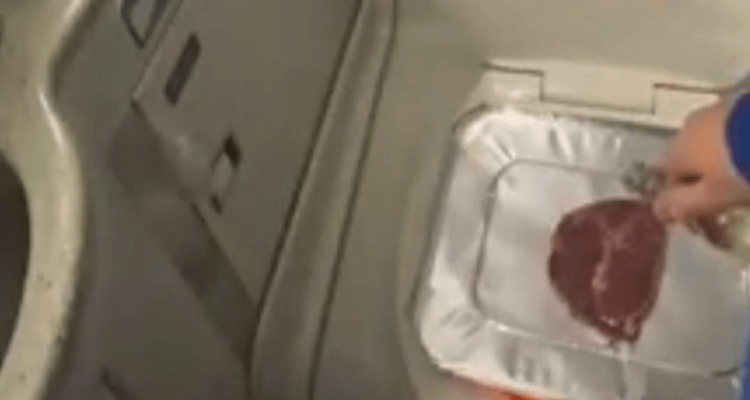 TikTok user cooks steak in Delta plane toilet | Secret Flying TikTok user cooks steak in Delta plane toilet | Secret Flying