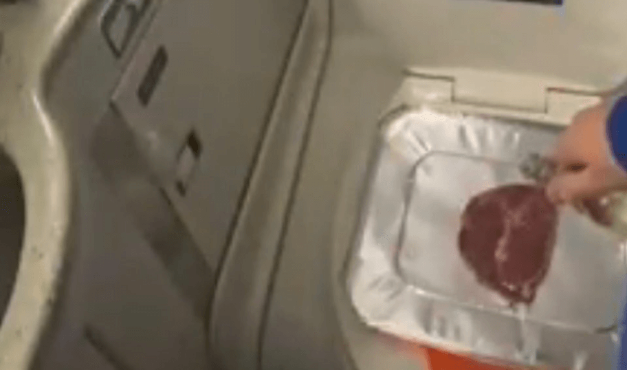 TikTok user cooks steak in Delta plane toilet
