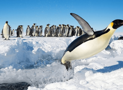 Australia criticised for Antarctica airport plan | Secret Flying