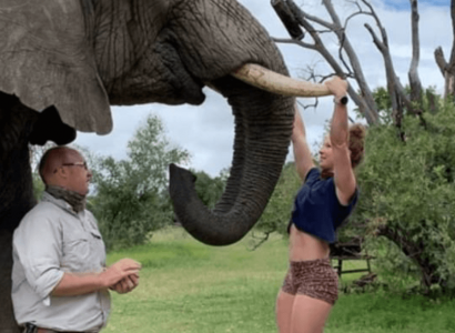 Fury after gym owner uses elephant’s tusks to do pull-ups in South African sanctuary | Secret Flying