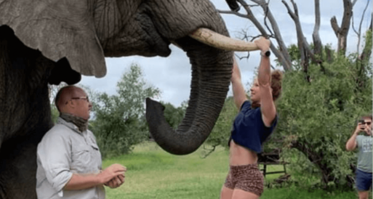 Fury after gym owner uses elephant’s tusks to do pull-ups in South African sanctuary | Secret Flying