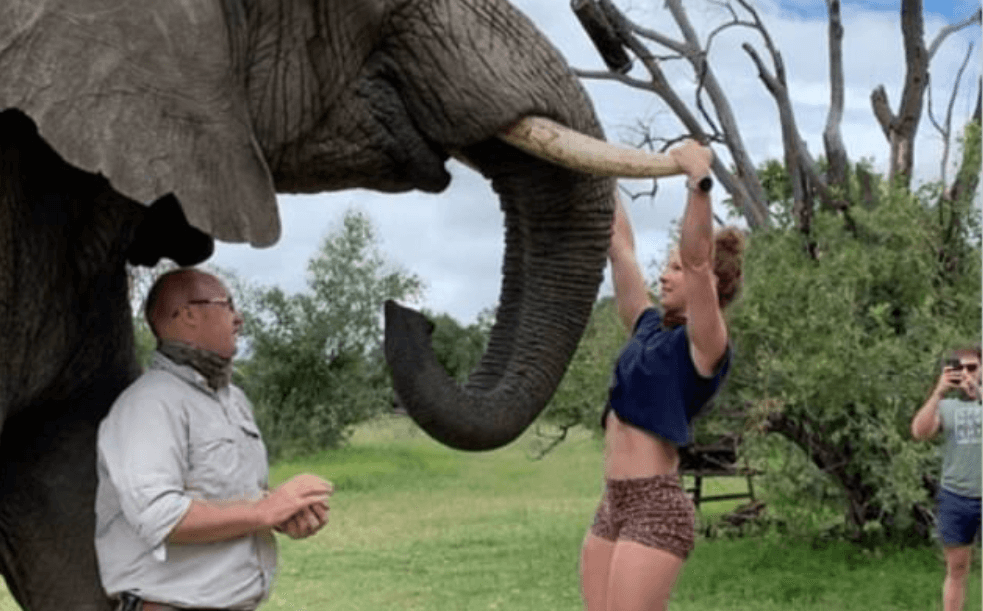 Fury after gym owner uses elephant’s tusks to do pull-ups in South African sanctuary