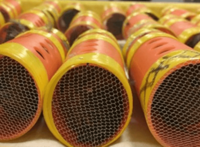 Guyanese man caught at JFK smuggling 40 finches in hair curlers | Secret Flying