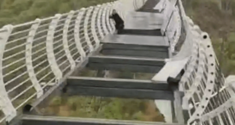Glass panels on Chinese bridge fall out leaving tourist clinging for life | Secret Flying