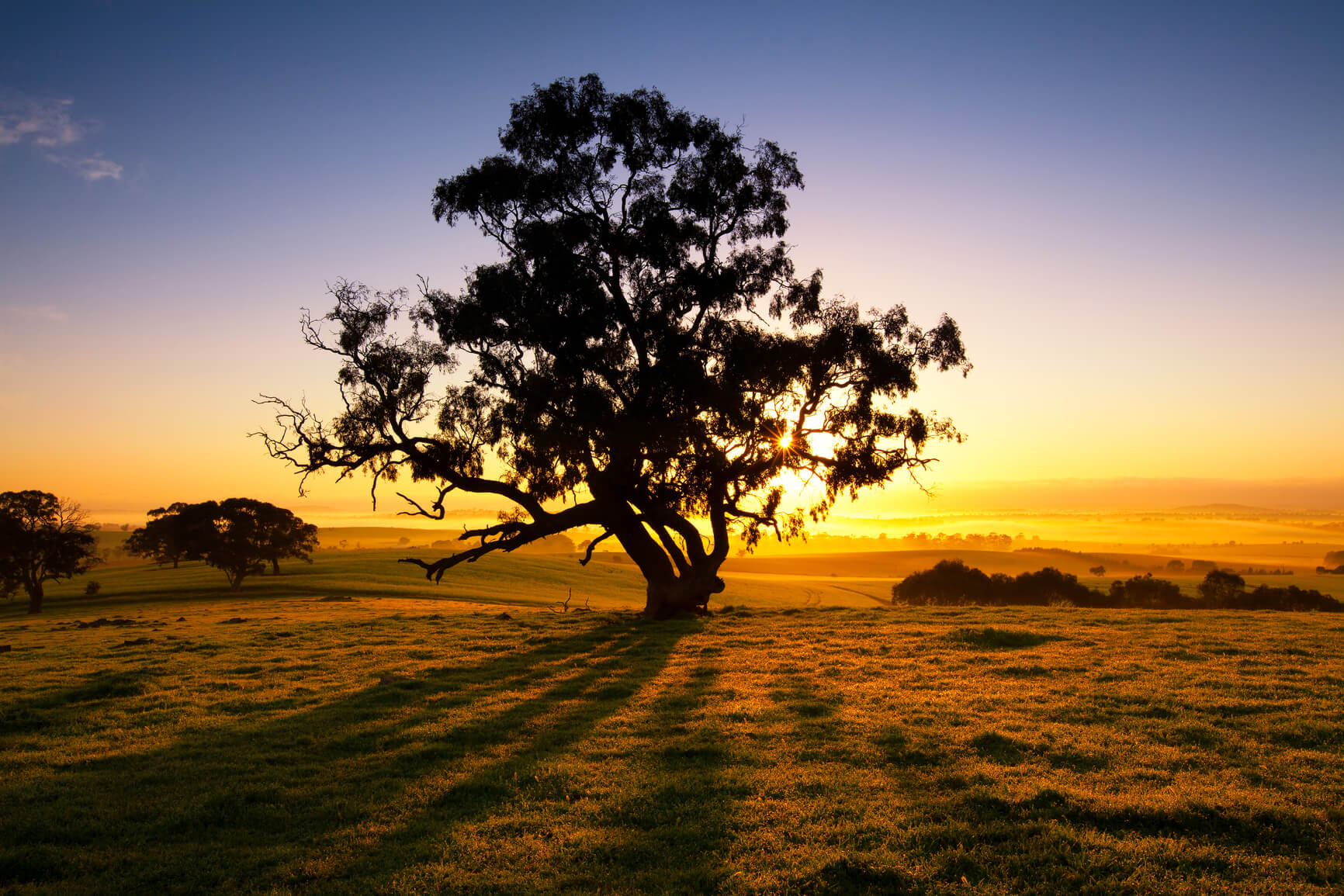 Non-stop from Melbourne, Australia to Darwin, Australia for only $360 AUD roundtrip