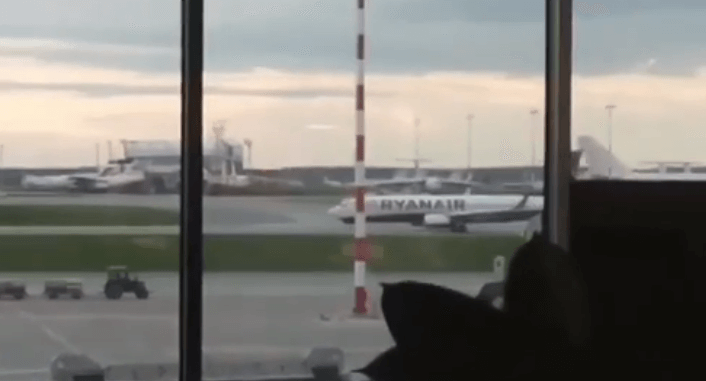 Outrage as Belarus makes bomb threat forcing Ryanair plane to land so opposition journalist can be arrested | Secret Flying