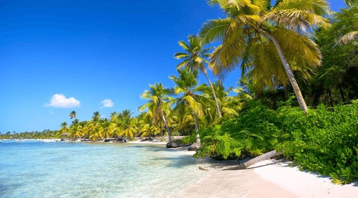 Flight deals from Chicago to St. Vincent and the Grenadines | Secret Flying Flight deals from Chicago to St. Vincent and the Grenadines | Secret Flying