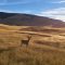 SUMMER: Philadelphia to Bozeman (& vice versa) for only $237 roundtrip SUMMER: Philadelphia to Bozeman (& vice versa) for only $237 roundtrip