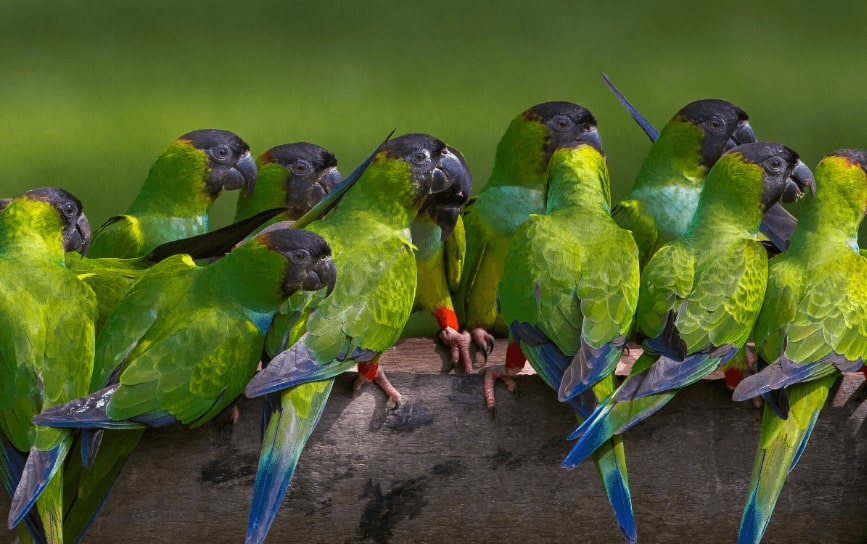 SUMMER: US cities to Brazilian cities from only $337 roundtrip