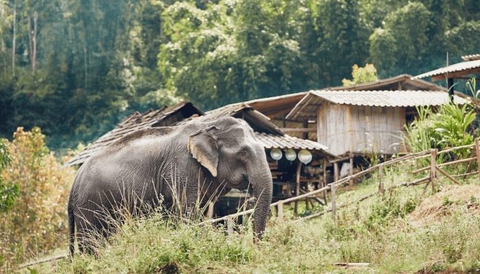 Flight deals from Athens, Greece to Chiang Mai, Thailand | Secret Flying