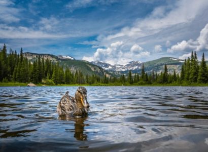 Flight deals from Dallas, Texas to Colorado Springs | Secret Flying