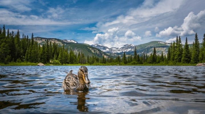 Flight deals from Dallas, Texas to Colorado Springs | Secret Flying