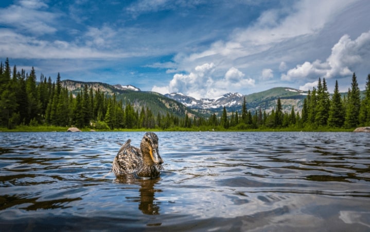 SUMMER: Non-stop from Dallas, Texas to Colorado Springs (& vice versa) for only $117 roundtrip