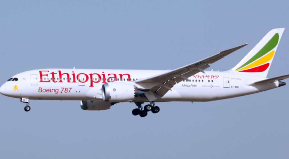 Business Class from Copenhagen, Denmark to Johannesburg, South Africa for only €1530 roundtrip (lie-flat seats)