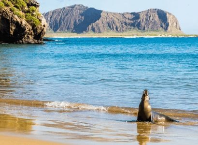 Flight deals from New York to the Galapagos Islands | Secret Flying