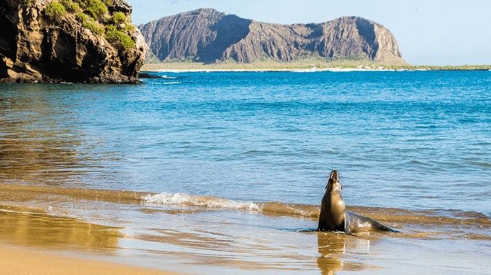 Flight deals from New York to the Galapagos Islands | Secret Flying