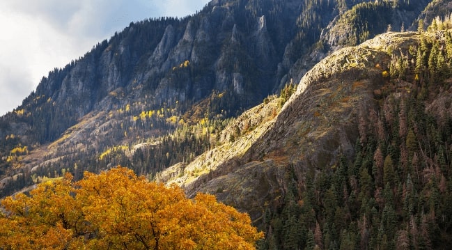 Flight deals from Phoenix, Arizona to Grand Junction, Colorado | Secret Flying Flight deals from Phoenix, Arizona to Grand Junction, Colorado | Secret Flying