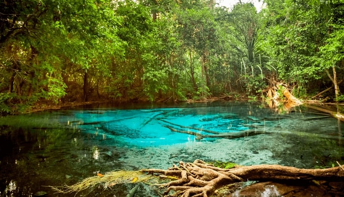 Non-stop from Oslo, Norway to Krabi, Thailand for only €282 roundtrip (& vice versa for $304 USD) (Nov-Dec dates)