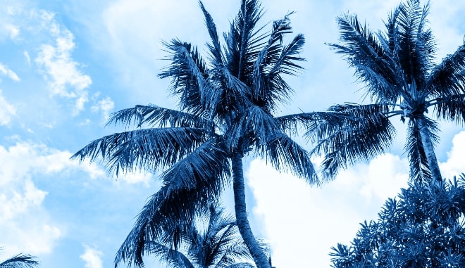 Flight deals from Los Angeles to La Paz, Mexico | Secret Flying