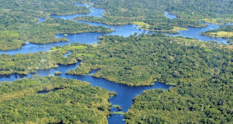 Flight deals from Raleigh, North Carolina to Manaus, Brazil | Secret Flying