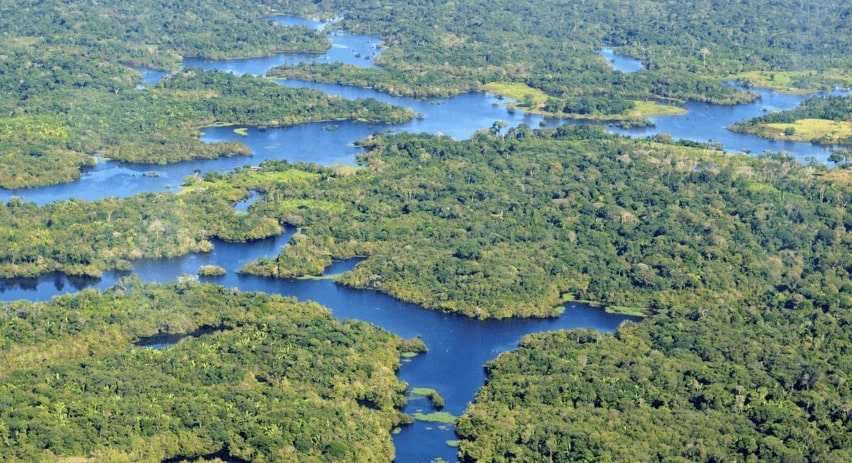 Eastern USA to Manaus, Brazil from only $314 roundtrip