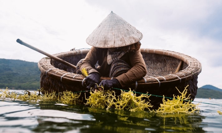Moscow or St. Petersburg, Russia to Nha Trang, Vietnam from only €280 roundtrip (Feb-Mar dates)