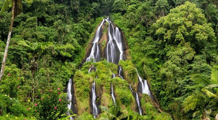 Flight deals from New York to Pereira, Colombia | Secret Flying