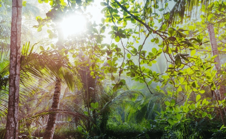 Tampa, Florida to Pereira, Colombia for only $311 roundtrip (Oct-Nov dates)