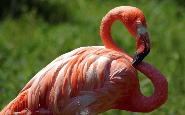 New York to Quito, Ecuador for only $364 roundtrip
