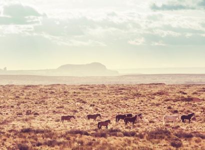 Flight deals from Los Angeles to Reno, Nevada | Secret Flying
