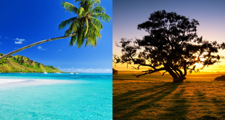 Flight deals from West Coast USA to Hawaii and Australia | Secret Flying