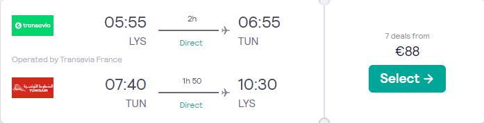 Non-stop flights from Lyon, France to Tunis, Tunisia for only €88 roundtrip. Flight deal ticket image.