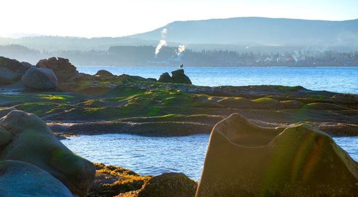 Flight deals from London, UK to Nanaimo, Canada | Secret Flying Flight deals from London, UK to Nanaimo, Canada | Secret Flying