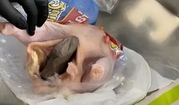 TSA finds gun stuffed inside raw chicken at Fort Lauderdale Airport | Secret Flying TSA finds gun stuffed inside raw chicken at Fort Lauderdale Airport | Secret Flying