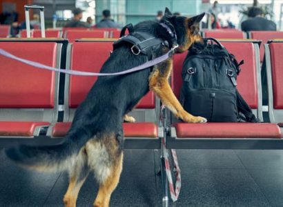 Palm Beach Int’l Airport evacuated after Frontier Airlines passenger ‘makes bomb threat’ | Secret Flying