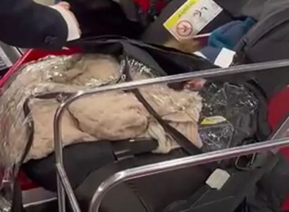 Parents attempt to board Ryanair flight after abandoning ticketless baby at check-in | Secret Flying