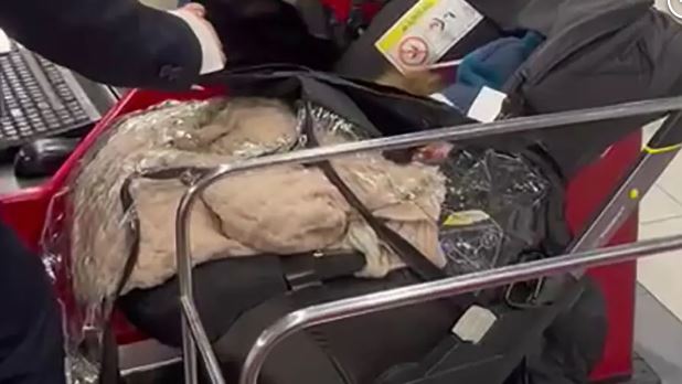 Parents attempt to board Ryanair flight after abandoning ticketless baby at check-in | Secret Flying Parents attempt to board Ryanair flight after abandoning ticketless baby at check-in | Secret Flying