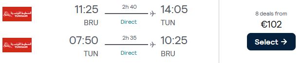 Non-stop flights from Brussels, Belgium to Tunis, Tunisia for only €102 roundtrip. Flight deal ticket image.