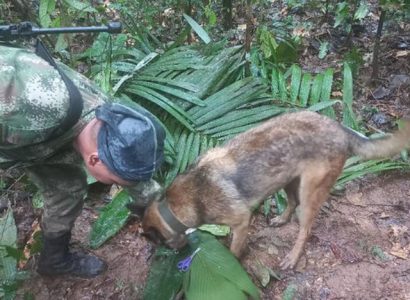 Four children found alive in Amazon jungle 16 days after plane crash | Secret Flying