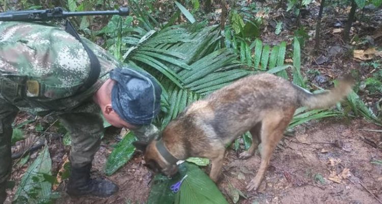 Four children found alive in Amazon jungle 16 days after plane crash | Secret Flying