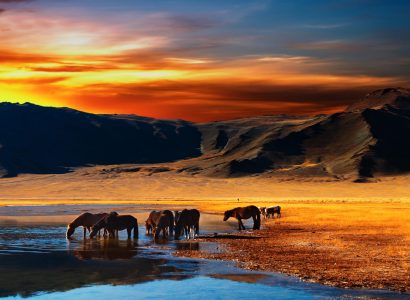 Flight deals from New York to Ulaanbaatar, Mongolia | Secret Flying