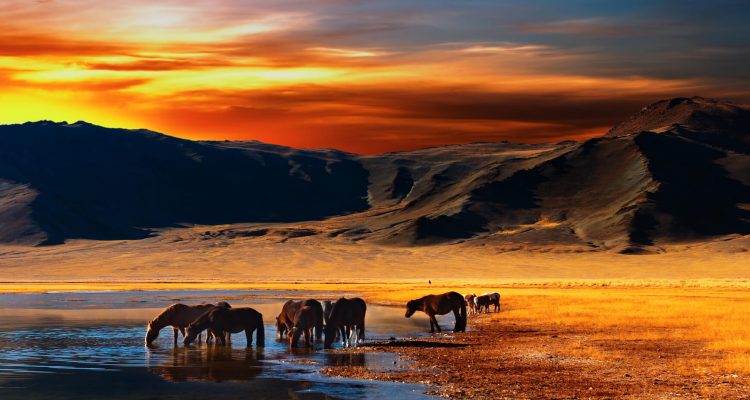 Flight deals from New York to Ulaanbaatar, Mongolia | Secret Flying