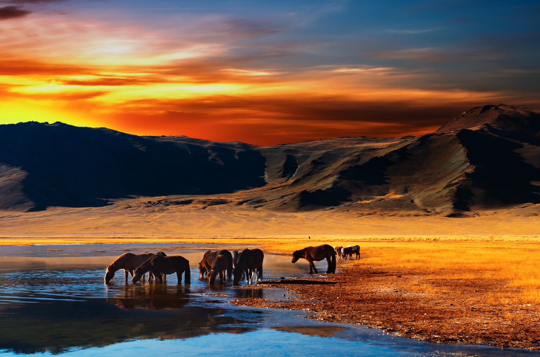 SUMMER: Non-stop from Prague, Czech Republic to Ulaanbaatar, Mongolia for only €371 roundtrip (& vice versa for $399 USD)