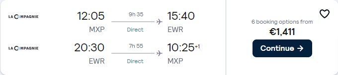 Business Class, Christmas and New Year flights from Milan, Italy or Paris, France to New York, USA from only €1411 roundtrip. Flight deal ticket image.