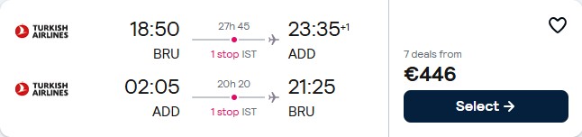 Cheap flights from Brussels, Belgium to Addis Abeba, Ethiopia for only €446 roundtrip with Turkish Airlines. Flight deal ticket image.