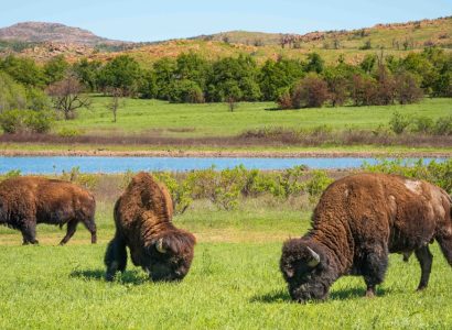 Flight deals from San Juan, Puerto Rico to Wichita, USA | Secret Flying