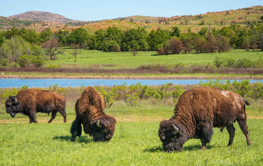 San Juan, Puerto Rico to Wichita, USA for only $246 USD roundtrip