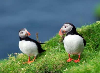 Flight deals from London, UK to the Faroe Islands | Secret Flying