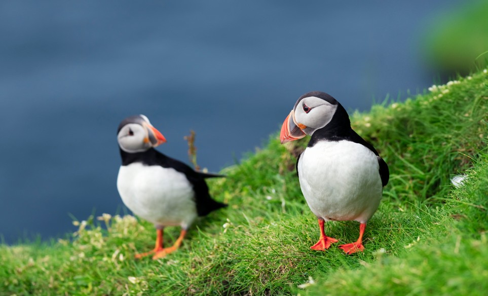 Boston to the Faroe Islands for only $382 roundtrip