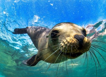 Flight deals from London, UK to Quito and Guayaquil, Ecuador and the Galapagos Islands | Secret Flying